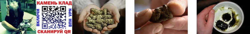 ГАШ Cannabis  Макушино 