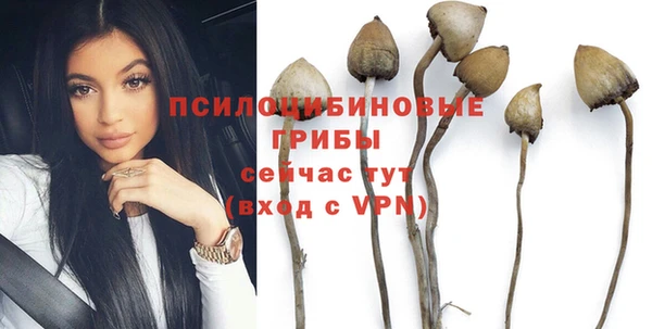 круглые Алексин