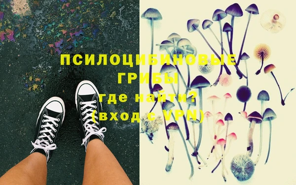индика Алексеевка