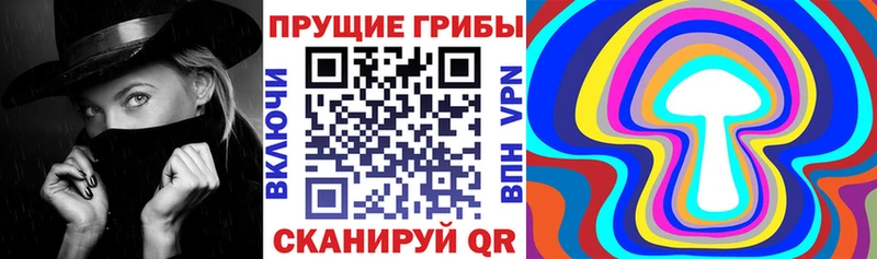 продажа наркотиков  Макушино  Псилоцибиновые грибы Psilocybine cubensis 